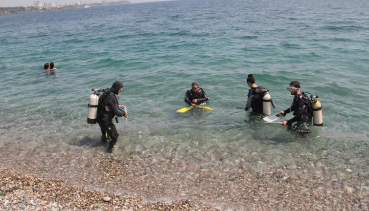 Zehirli kestaneler koloni halinde görüntülendi. Akdeniz'de yalın ayak denize girmek hayal oldu