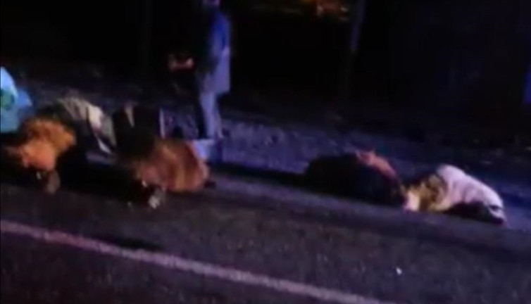 Koyun sürüsünü otomobil biçti