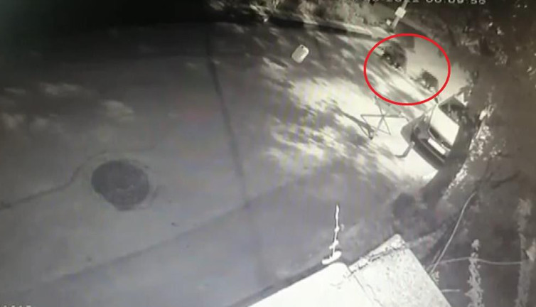 Ayı ailesi üstlerine yönelince çığlık atıp kaçacak delik aradılar