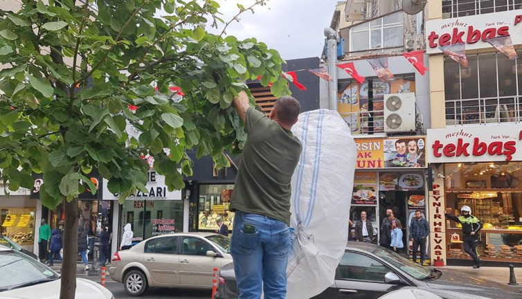 Sokağı arılar bastı. Vatandaş kaçacak yer aradı