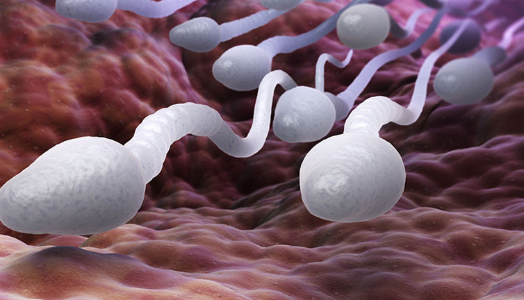 İşte sperm kalitesini bozan o yiyecekler