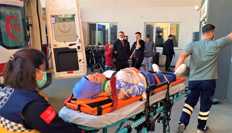 Martıya binen kadın hastanelik oldu