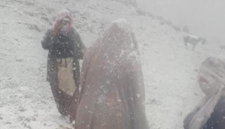 Yaylada zamana karşı yarış hayat kurtardı