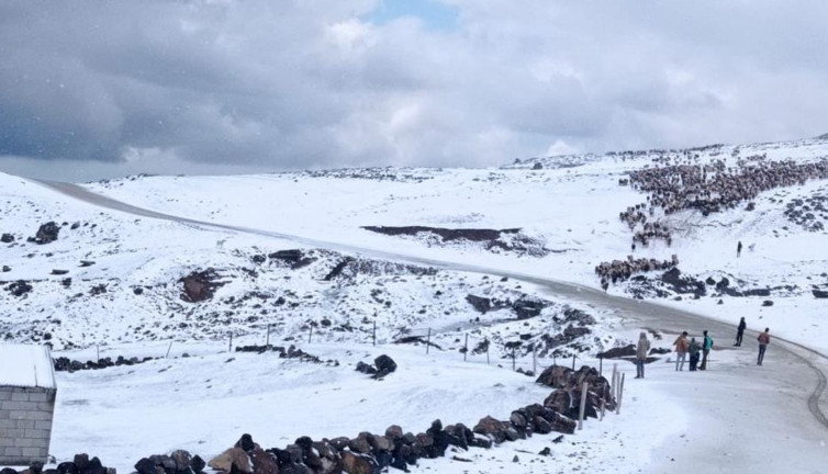 Mayıs'ta güneş açar diye beklediler lapa lapa kar yağdı