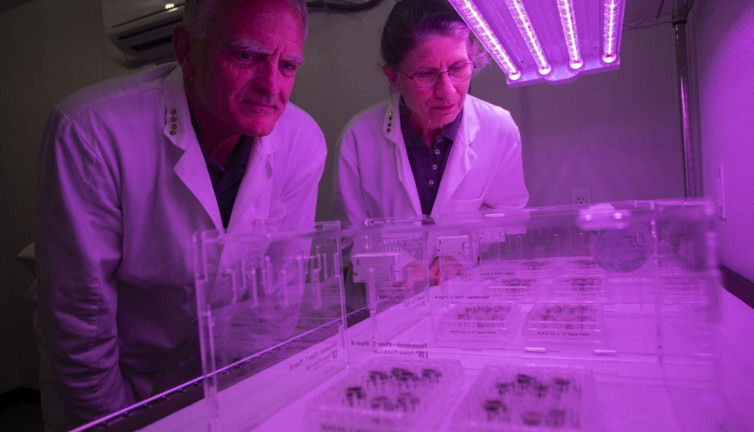 Ay'dan getirilen toprakta bitki yetiştirildi. Tarihte bir ilk