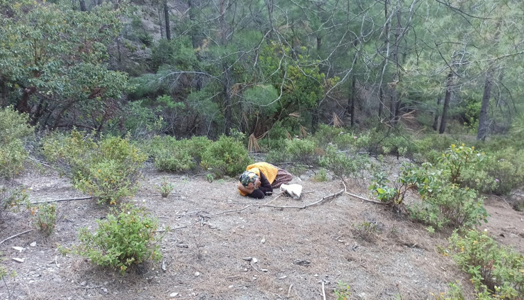 Kayıp olarak aranıyordu! Ormanda uyurken bulundu...