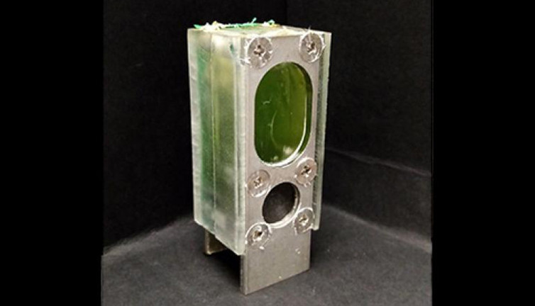 Elektriksiz günlerce çalışıyor: Fotosentez yapan bilgisayar üretildi