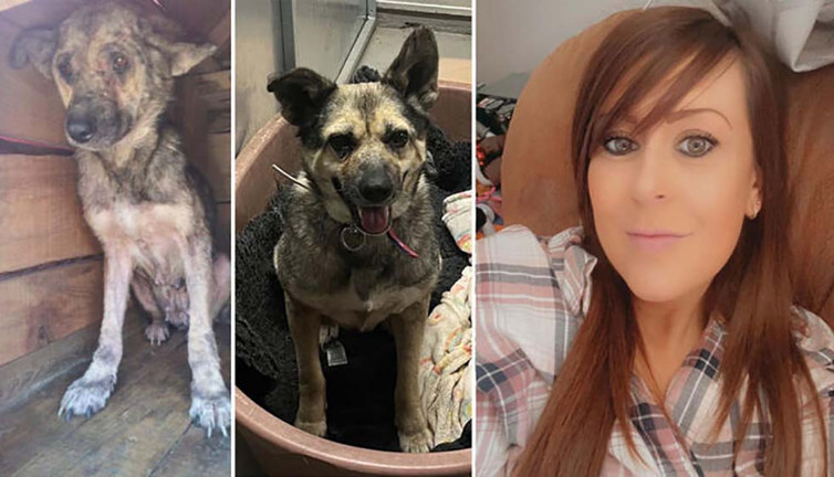 ‘Poppy’ Zonguldak’tan Londra’ya gitti! Sosyal medya kaderini değiştirdi…