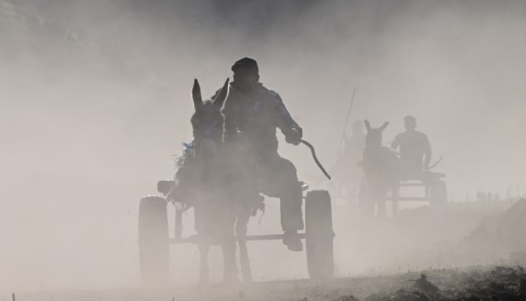 Fotoğraf Maratonu’nda eşekler tozu dumana kattı