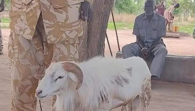 Kadını öldüren koça 3 yıl hapis cezası