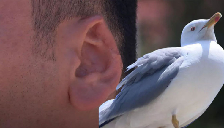 Kadını şiddetten korumak isterken kulağından oldu