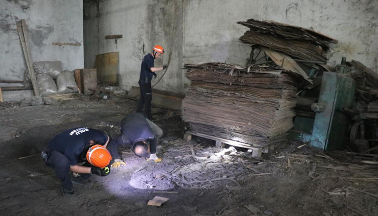 Tilkiler kereste fabrikasını işgal etti