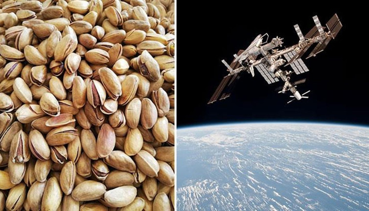 NASA astronotları şok oldu. Uzayda fıstık kabukları buldular. Yiyip yiyip dünyayı izlemişler