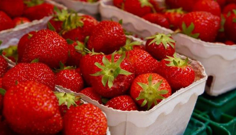 Salgının biri bitmeden diğeri başlıyor. Şimdi de çileklerden yayılan hastalık çıktı. Marketlerde satılıyor