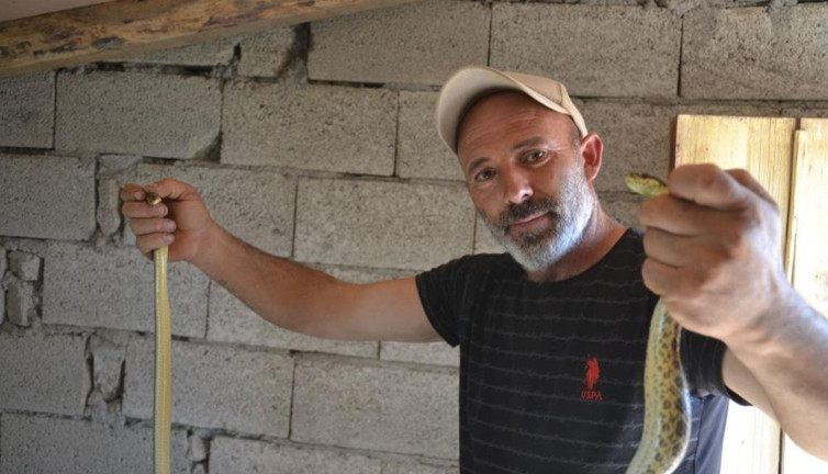 Pusuya yatan adam güvercinlerini yiyen dev yılanları yakalayıp nasihat etti
