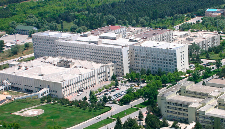 Koca bir şehir hekimsiz kaldı