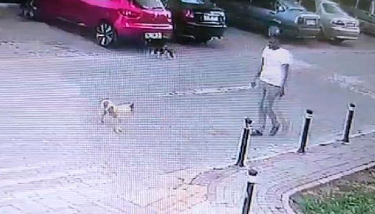 Durduk yere köpeğe tekme attı