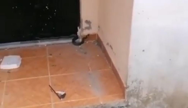 Evinin kapısında gördü tüyleri diken diken oldu