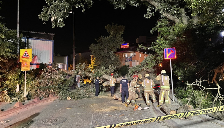 Sancaktepe'de devrilen ağaç metro inşaatı alanına düştü