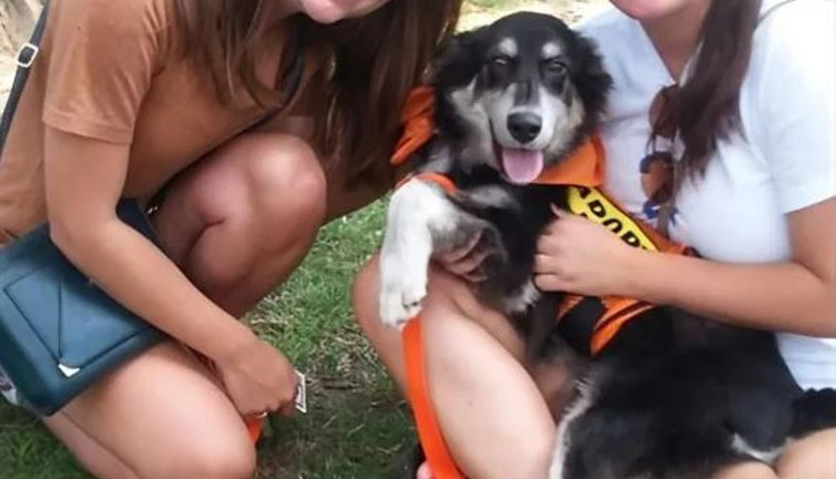 Hayvanları kurtarma kuruluşunda yönetici olan kadının evinden onlarca hayvan ölüsü çıktı