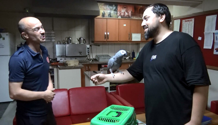 Kafesinden kaçan ‘Şükrü’yü itfaiye yakalayıp sahibine teslim etti