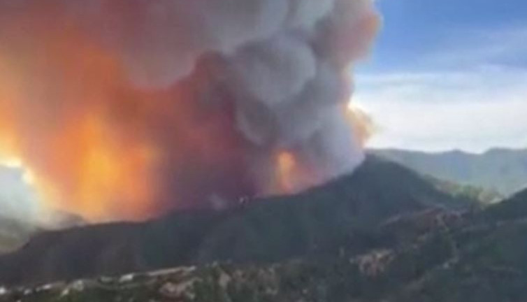 İspanya’nın başı orman yangılarıyla dertte 2 bin hektarlık alan kül oldu