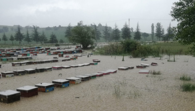 Dere taştı 100 kovan arı telef oldu