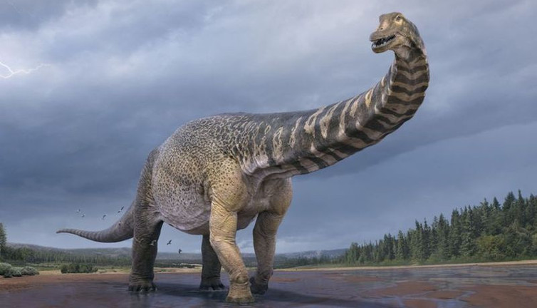 Avrupa'nın en büyük dinozor fosili bulundu