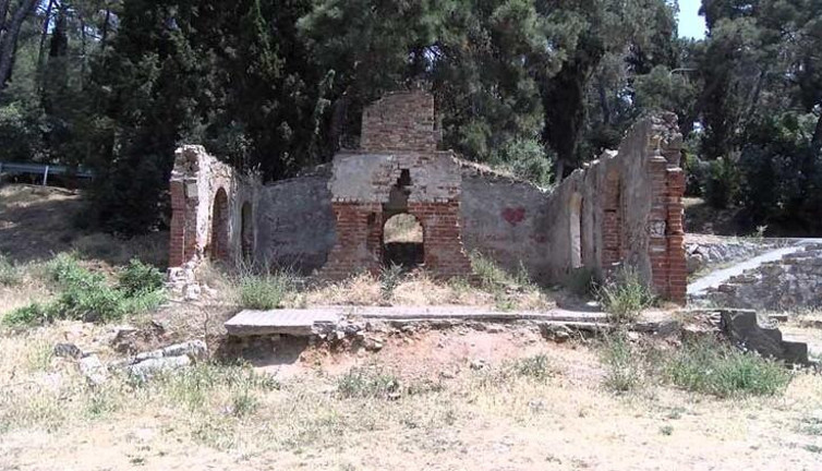 Büyükada'da çaldıkları tarihi üzüm teknesini bahçeye bıraktılar