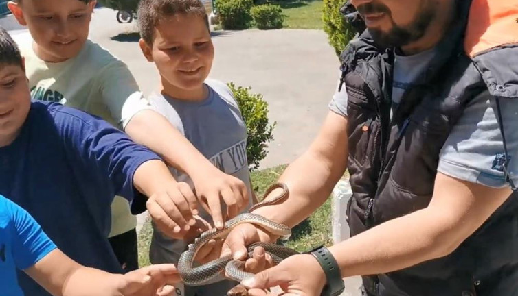 Yılan terbiyecisi ağaçta yakaladı. Çocuklara yılanı sevdirdi