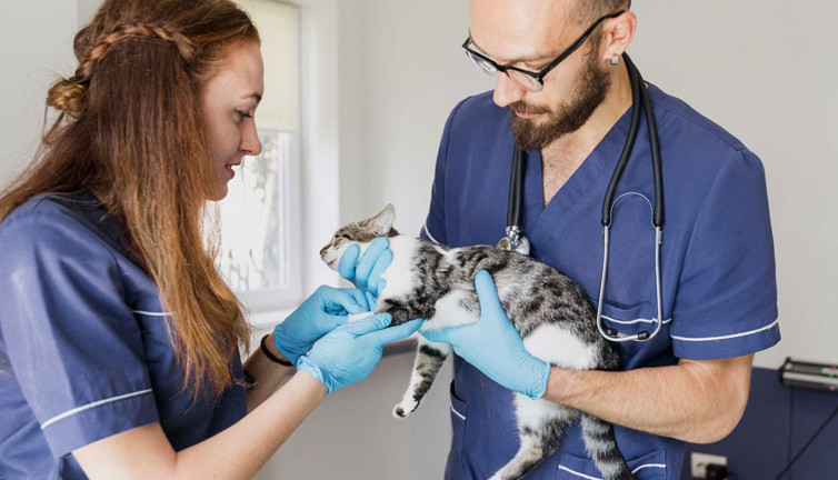 Zonguldak Çaybel personel alacak (18 Haziran 2022)