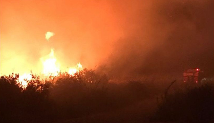 Kaş'taki makilik yangını 2 saatte kontrol altına alındı