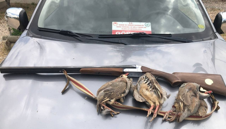 Tunceli’de kaçak avcıya ceza