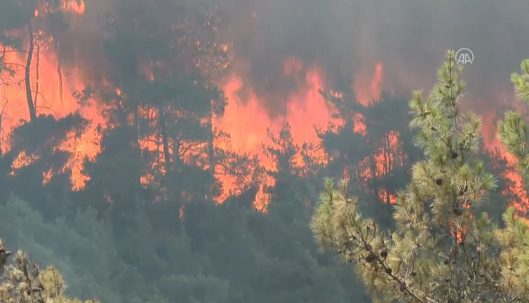 Şahan Gökbakar Marmaris'teki ''Yangında havada uçak yok'' deyince Soylu çok kızdı. Gökbakar'ı ''şeytan'' ilan etti