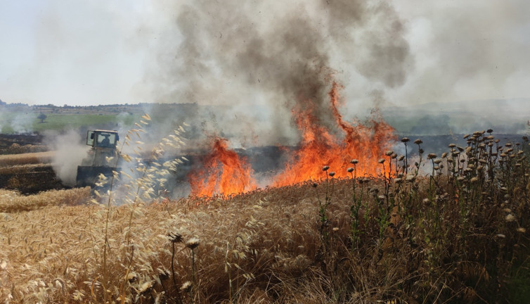 Tekirdağ’da 300 dönüm buğday tarlası küle döndü. Buğday krizi yaşanırken Türkiye'de buğday tarlaları peş peşe yanıyor