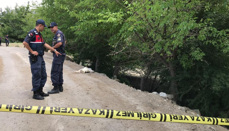 Elazığ'da silahlı kavga. Akrabalar birbirine girdi