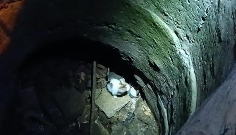 Kuyuda pisi pisi operasyonu