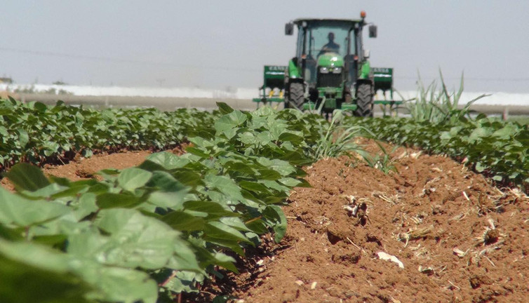 Gübre fiyatlarına 1050 lira zam yapıldı. Yeni fiyatlar açıklandı