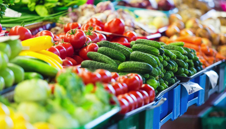 Kayseri Aile Ve Sosyal Hizmetler Müdürlüğü gıda malzemesi satın alacak