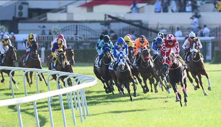 96. Gazi Koşusu'nun kazananı belli oldu. 2 milyon 500 bin liralık ödülün sahibi oldu