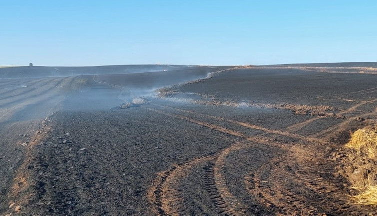 Buna yürek dayanmaz. Tekirdağ’da bin dönüm buğday tarlası yandı