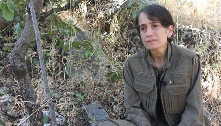 MİT'ten operasyon: PKK - HPG konsey üyesi etkisiz hale getirildi