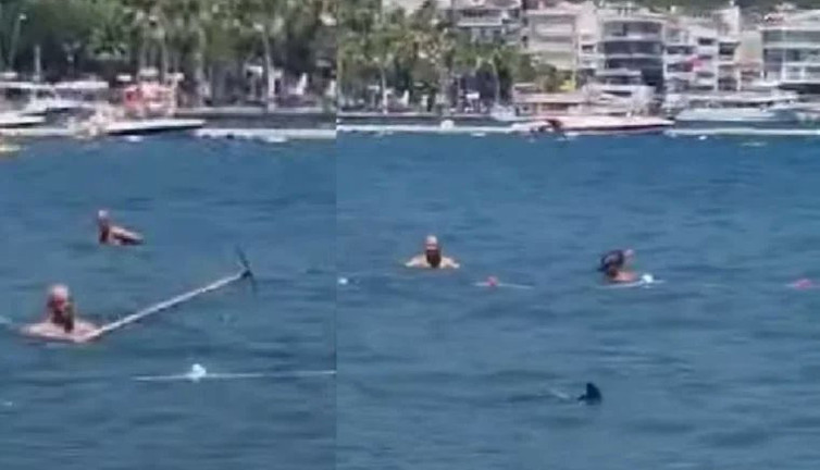 Marmaris Belediyesi vatandaşların arasında olan balığın köpek balığı olmadığını iddia etti ama kimse inanmadı. Belediye komik duruma düştü. Zargananın böyle yüzgeci olur mu