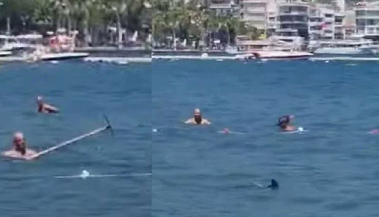 Dünya süpürge sapıyla köpek balığı kovalayan Türkleri konuşuyor. Mısır’da iki kadını yiyen köpek balıkları Marmaris’te dayak yedi