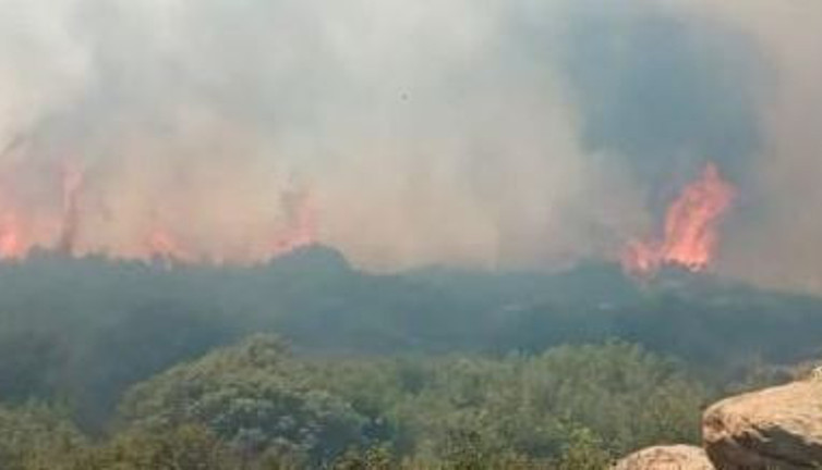 Çanakkale'de orman yangını (05 Temmuz 2022)