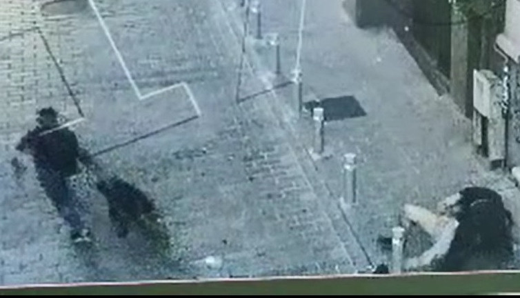 Beyoğlu’nda pitbull köpeği ile gasp kamerada