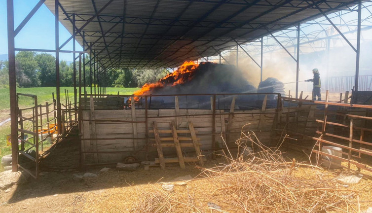 Sigara izmariti 5 ton buğday ve 2 bin balya samanı kül etti