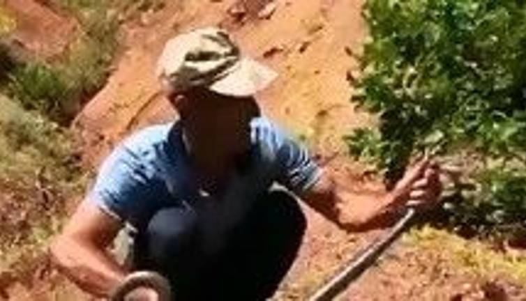 Dağda boyundan uzun yılanı tek hamlede yakaladı