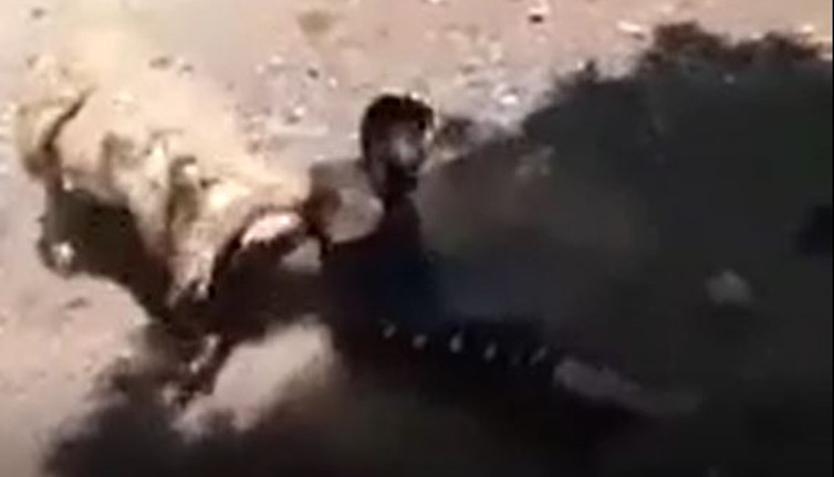 Sen misin bizi kesilmeye götüren. Koç intikamını çok sert aldı