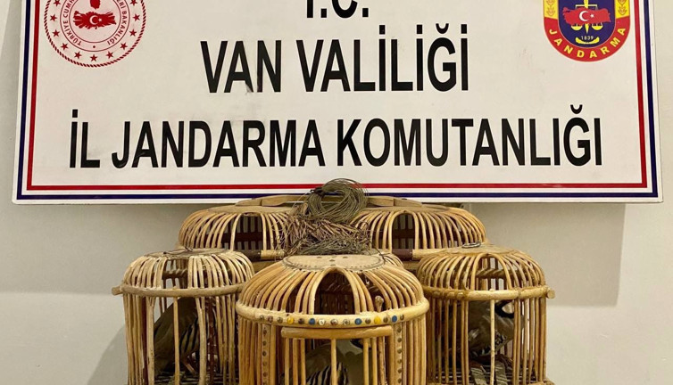 Van'da 5 adet canlı keklik yakalandı